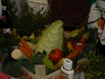 Herbstfeier_2010_Pfeiffer_1070038