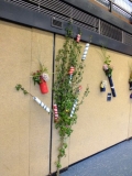 OGV_Herbstfeier_2013_Fue-09