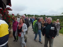 Schwarzwald_2014_059