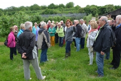 Schwarzwald_2014_063