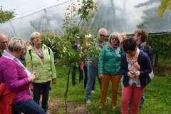 Schwarzwald_2014_065