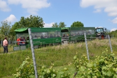 Schwarzwald_2014_080