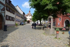 Schwarzwald_2014_082