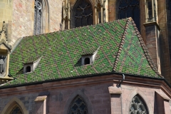 Schwarzwald_2014_123