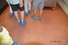 Sardinien Schiff OGV 755