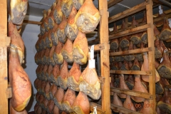 Sardinien Schiff OGV 756