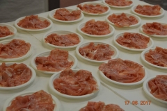 Sardinien Schiff OGV 759