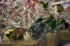 HF2014_Details-11
