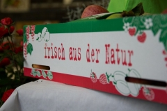 HF2014_Details-16