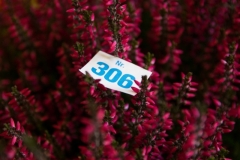HF2014_Details-25