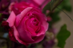 HF2014_Details-30