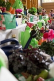 HF2014_Details-5
