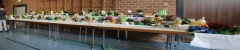 HF2014_Details-9