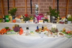 OGV-Herbstfeier-2016_FPf023