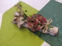 Bild (13)