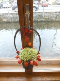Bild (15)