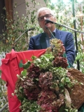 Bild (18)